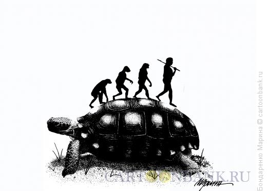 Карикатура: Эволюция на Черепахе, Бондаренко Марина