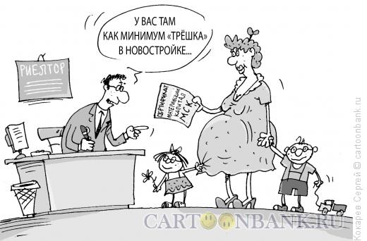 Карикатура: мамин капитал, Кокарев Сергей