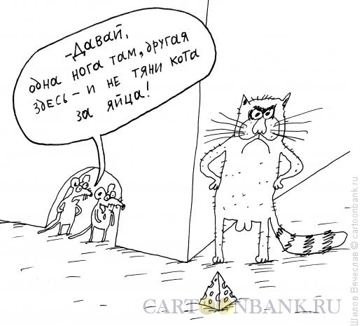 Карикатура: Мыши и сыр, Шилов Вячеслав