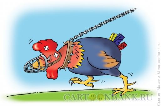 Карикатура: Бойцовый петух, Смагин Максим