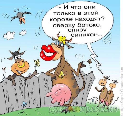 Карикатура: гламурная корова, Кокарев Сергей