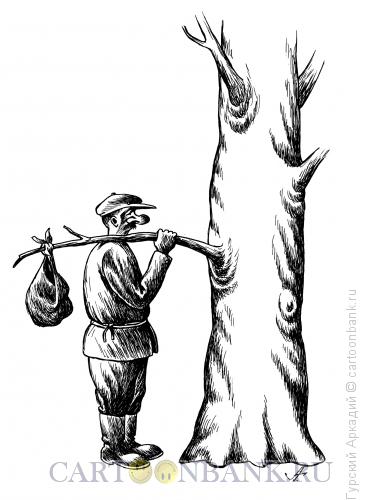 Карикатура: турист у дерева, Гурский Аркадий