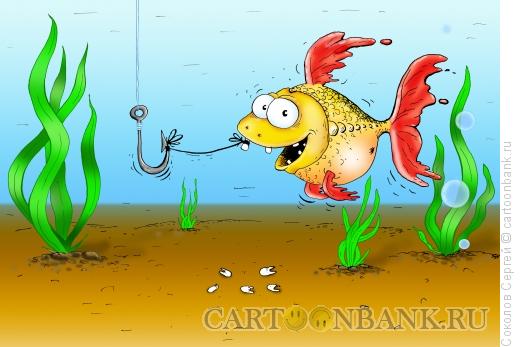 Карикатура: рыбобаловство 2, Соколов Сергей