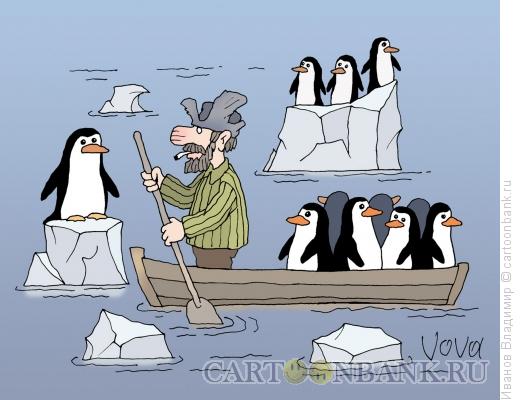 Карикатура: Мазай и пингвины, Иванов Владимир