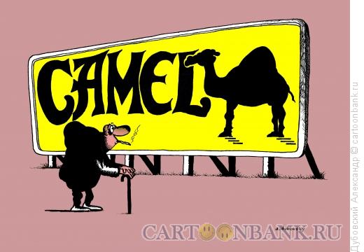 Карикатура: Camel, Дубовский Александр