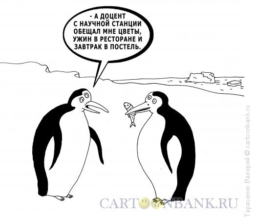 Карикатура: Случай в Антаркдиде, Тарасенко Валерий