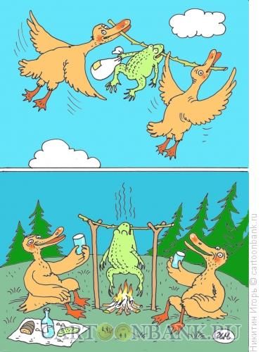 Карикатура: лягушка, Никитин Игорь