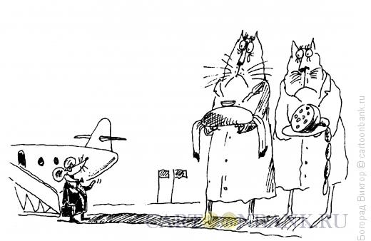 Карикатура: Встреча крысы, Богорад Виктор
