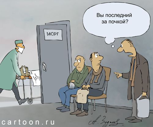 Карикатура: органы, Александр Зудин