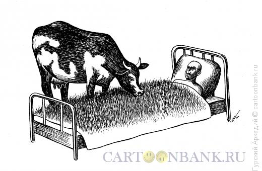 Карикатура: корова у постели, Гурский Аркадий