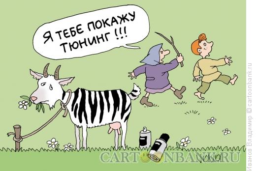Карикатура: Тюнинг козе, Иванов Владимир