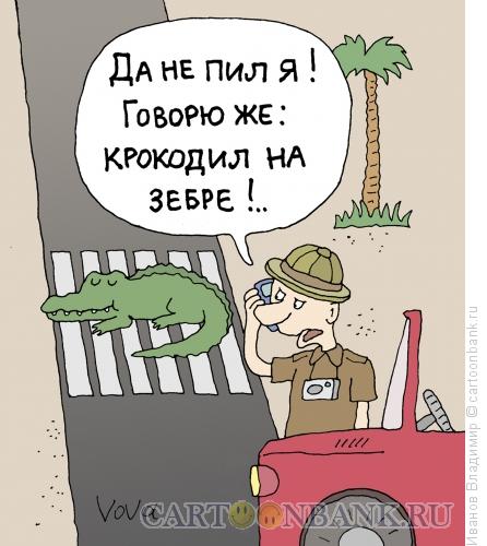 Карикатура: В африке, Иванов Владимир