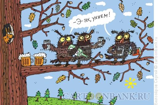 Карикатура: Совы, Белозёров Сергей