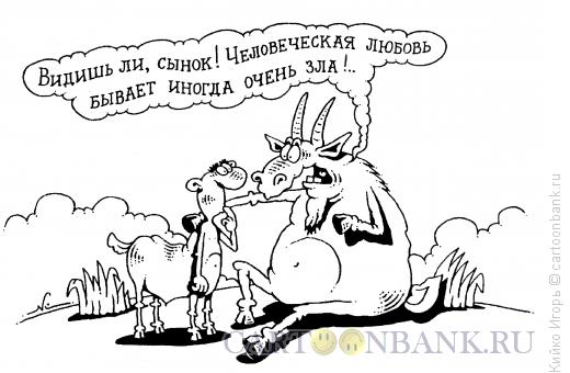 Карикатура: Злая любовь, Кийко Игорь