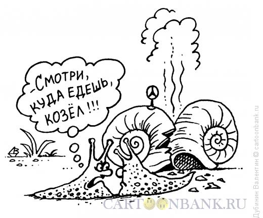 Карикатура: ДТП улиток, Дубинин Валентин