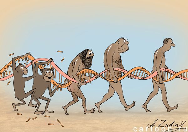 Карикатура: Репарация ДНК, Александр Зудин