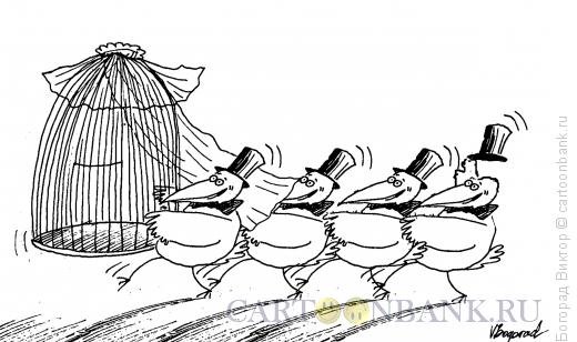 Карикатура: Жених и невеста, Богорад Виктор