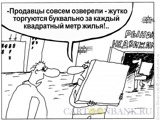 Карикатура: Квадратный метр, Шилов Вячеслав