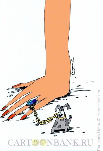 Карикатура: перстень, Пащенко Игорь