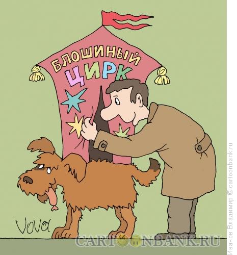 Карикатура: Блошиный цирк, Иванов Владимир