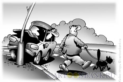 Карикатура: Черный кот и пешеход, Кийко Игорь