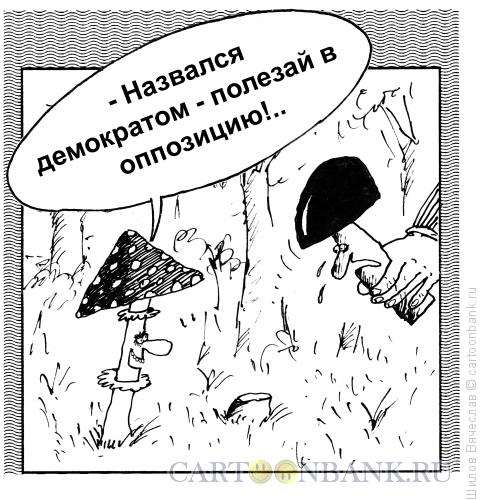Карикатура: Из жизни грибов, Шилов Вячеслав