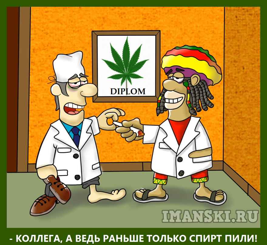 Карикатура: Что будет если разрешат марихуану в медицинских целях, Игорь Иманский