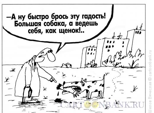 Карикатура: Собака и рука, Шилов Вячеслав