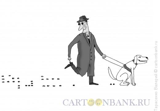 Карикатура: Грамотный поводырь, Тарасенко Валерий
