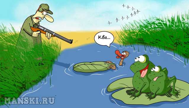 Карикатура: Охота на уток., Игорь Иманский