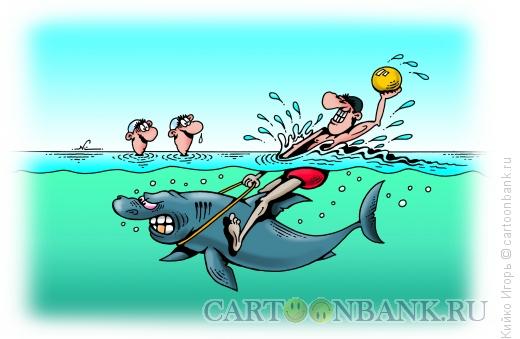 Карикатура: Ватерполист на акуле, Кийко Игорь