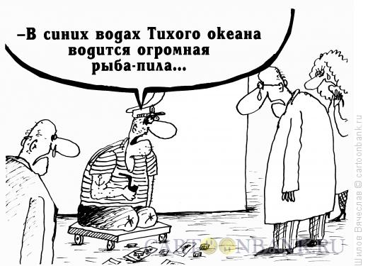 Карикатура: Рыба-пила, Шилов Вячеслав