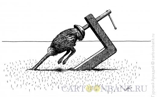 Карикатура: страус и струбцина, Гурский Аркадий