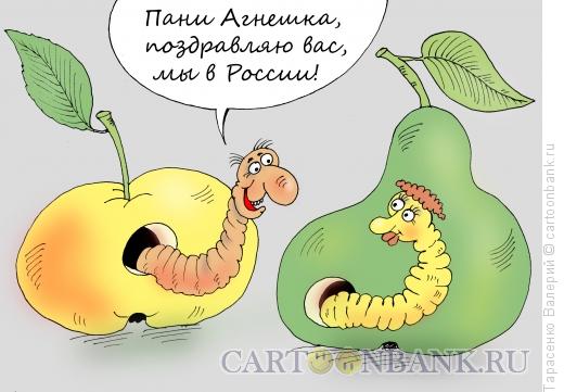 Карикатура: Санкционный импорт, Тарасенко Валерий