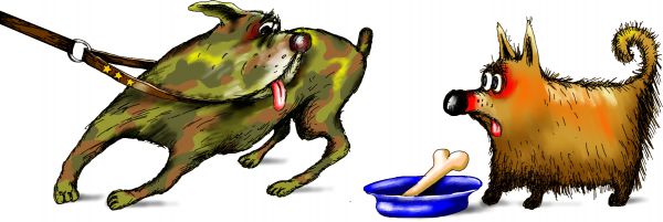 Карикатура: собаки, Ануфриев