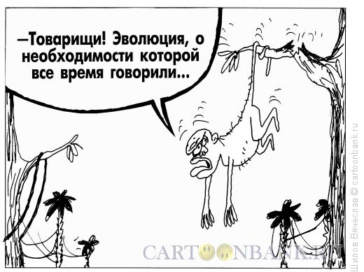 Карикатура: Эволюция, Шилов Вячеслав
