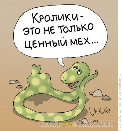Карикатура: Ценность кролика, Иванов Владимир