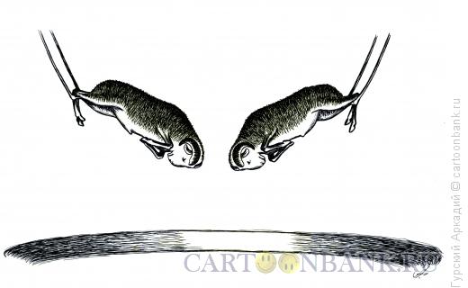 Карикатура: бараны, Гурский Аркадий