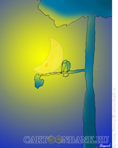 Карикатура: Ночная басня, Богорад Виктор