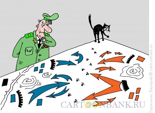 Карикатура: Провал стратегии, Тарасенко Валерий