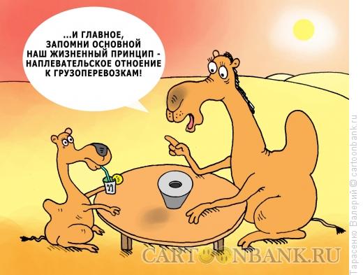 Карикатура: Плевое дело, Тарасенко Валерий