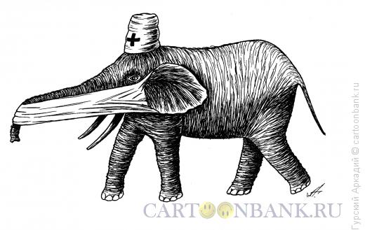 Карикатура: слон-врач, Гурский Аркадий