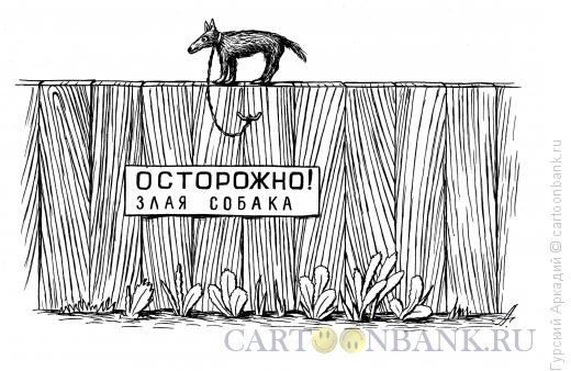 Карикатура: собака на заборе, Гурский Аркадий