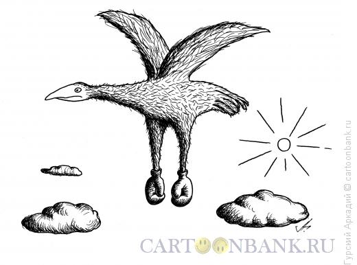 Карикатура: птица-боксёр, Гурский Аркадий