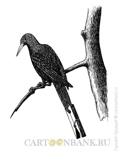 Карикатура: птица на ветке, Гурский Аркадий