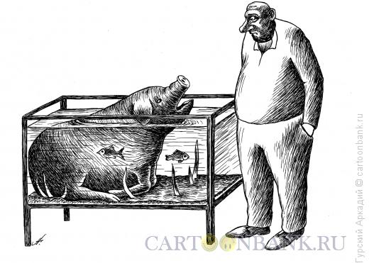 Карикатура: свинья в аквариуме, Гурский Аркадий