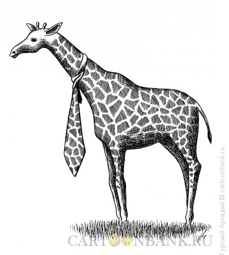 Карикатура: жираф с галстуком, Гурский Аркадий
