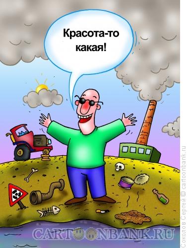 Карикатура: красота какая, Соколов Сергей