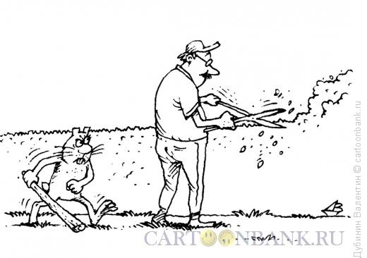 Карикатура: Садовник и заяц, Дубинин Валентин