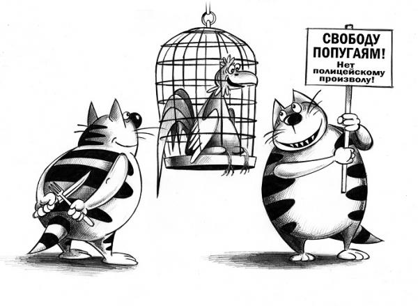 Карикатура: Свободу попугаям!, Сергей Корсун